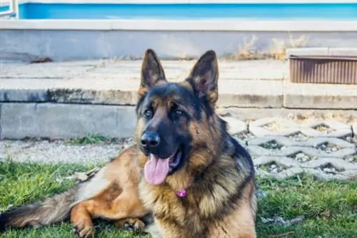 Изображение Изображение