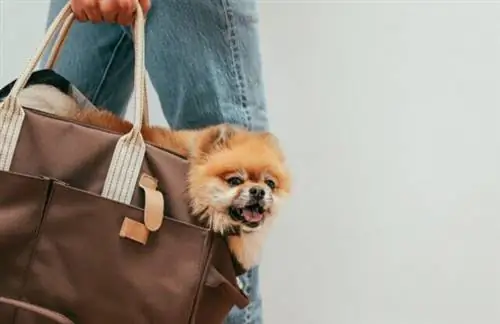 Изображение Изображение