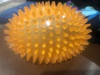 Image Image