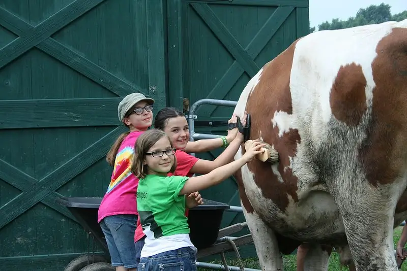 Camp Kindness учит детей быть милосердными образцами для подражания как другим детям, так и взрослым