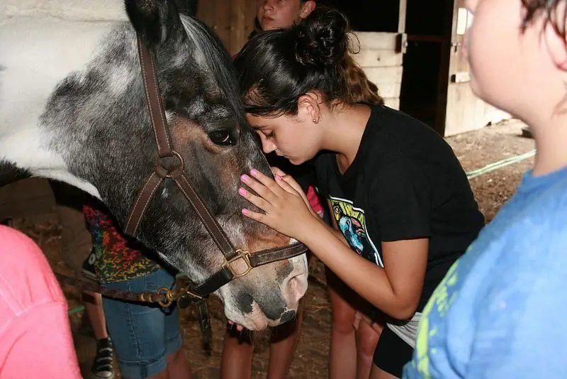 Camp Kindness учит детей быть милосердными образцами для подражания как другим детям, так и взрослым