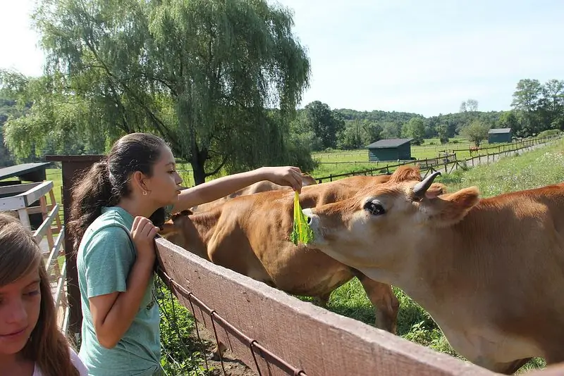 Camp Kindness учит детей быть милосердными образцами для подражания как другим детям, так и взрослым