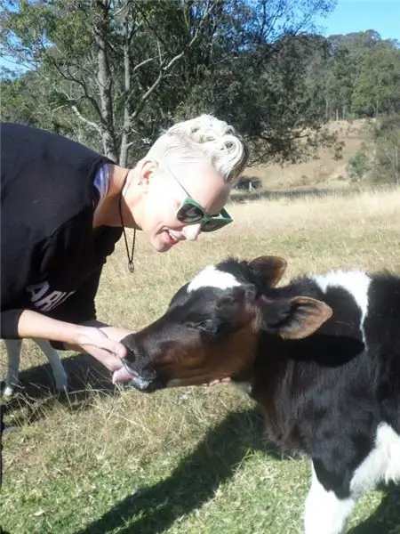 От худых и напуганных до смелых и красивых: 6 спасенных молочных телят живут в заповеднике на ферме Мэннинг-Ривер (ФОТО)