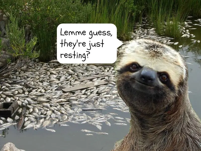 Снисходительный ленивец считает, что гидроразрыв - это нелепо