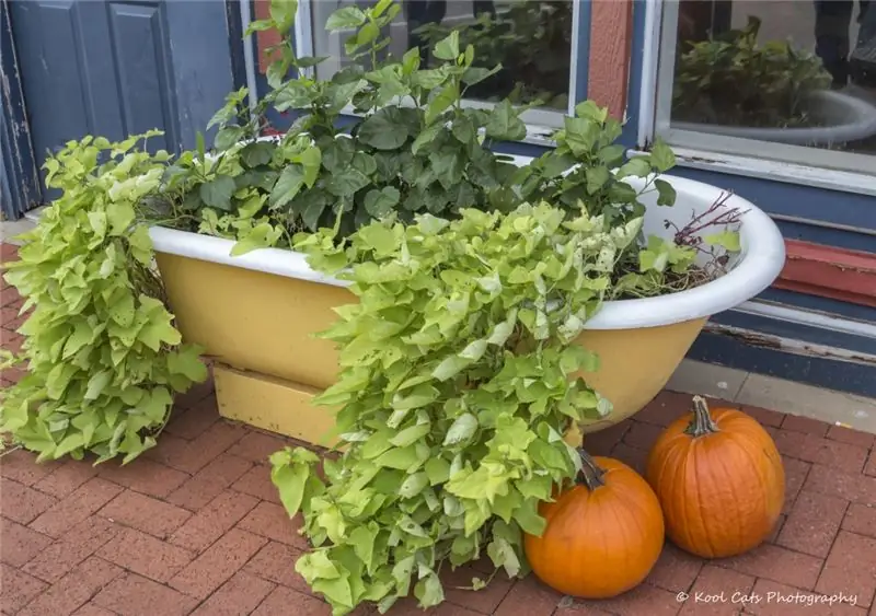 Крутые кашпо из переработанных материалов