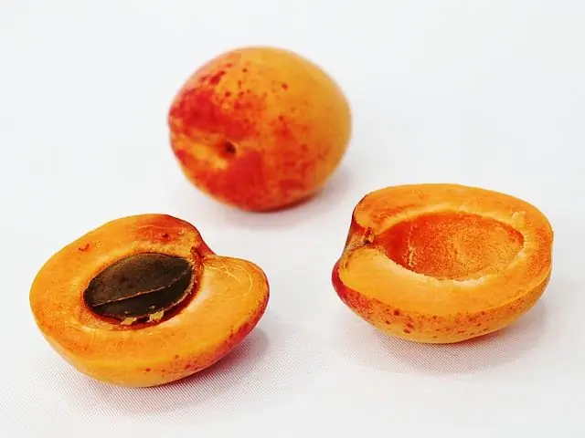 абрикос