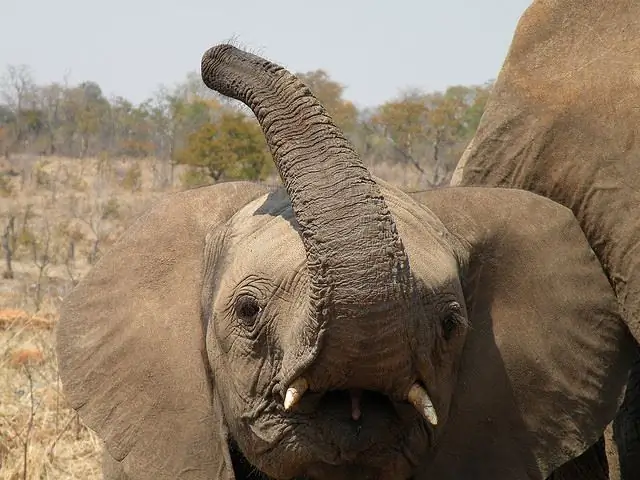 4182673206 f6ddc1fa29 z