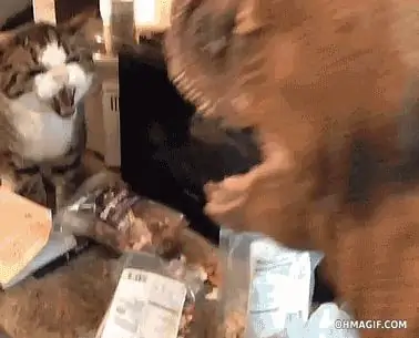 Я понял Я понял