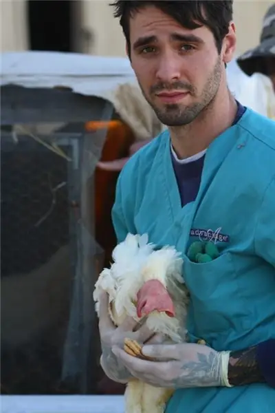 A Look Inside the Largest Farm Animal Rescue in California’s History (PHOTOS) A Look Inside the Largest Farm Animal Rescue in California’s History (PHOTOS)
