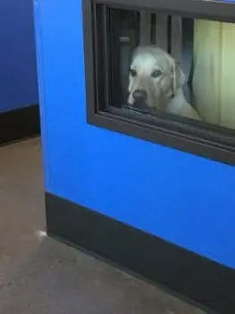 Изображение Изображение