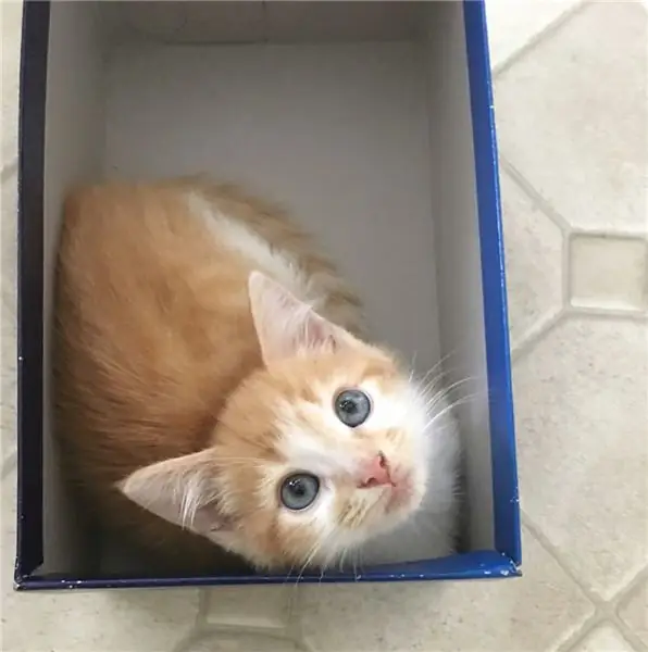 Изображение Изображение