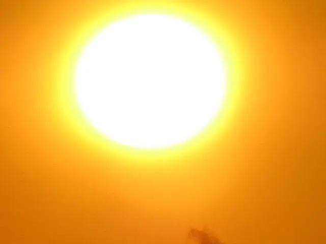 Солнечный свет Солнечный свет