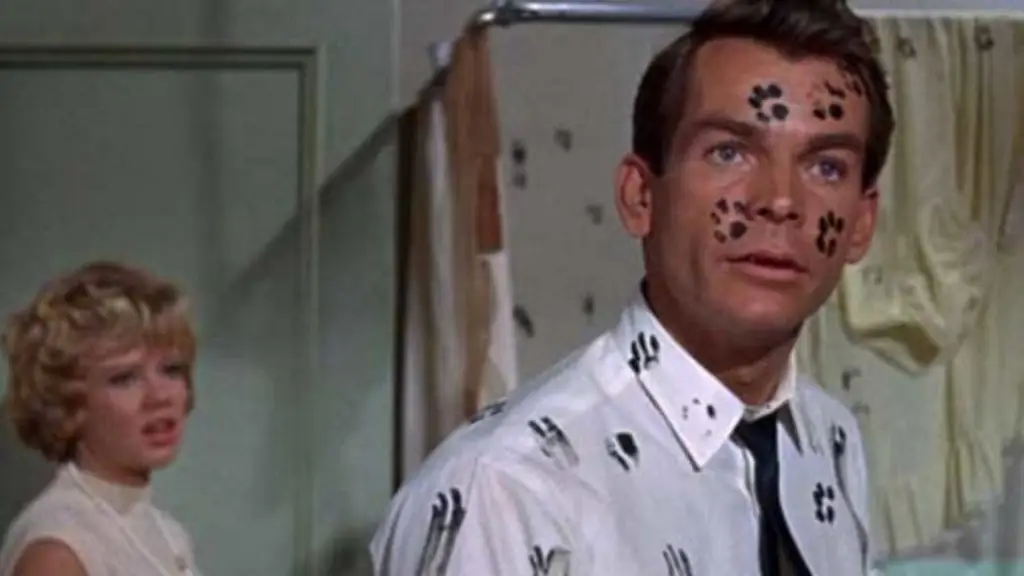 операция кошки