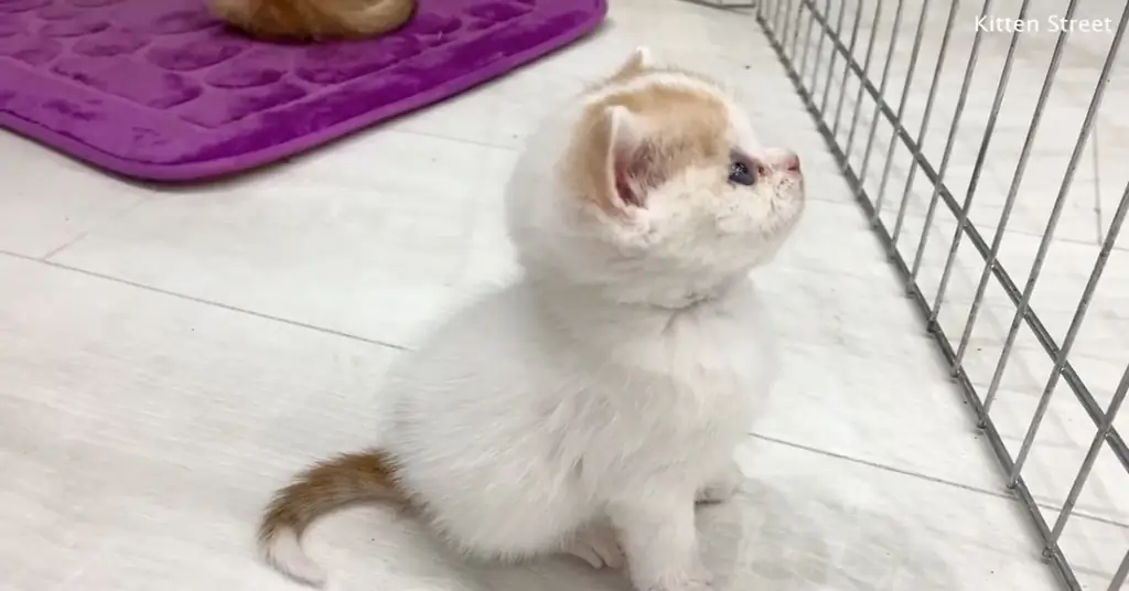Изображение Изображение