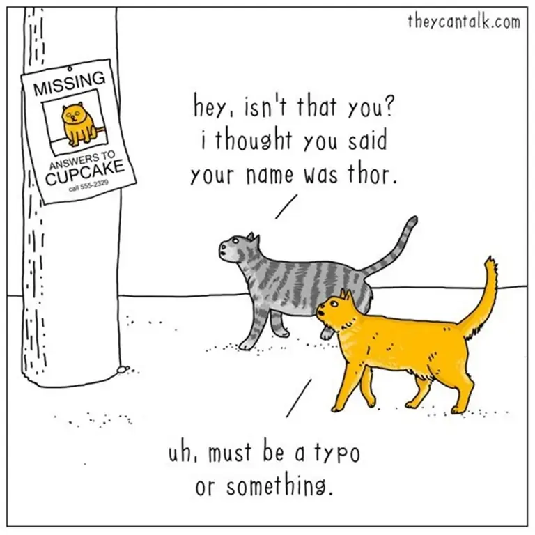 потерянный кот потерянный кот