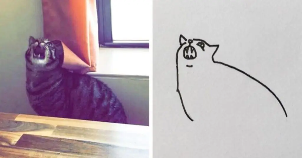 милые кошки рисунок милые кошки рисунок