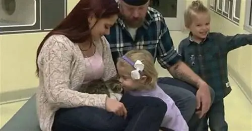 Двухлетней девочке сделали ампутацию, и она усыновит котенка по своему образу