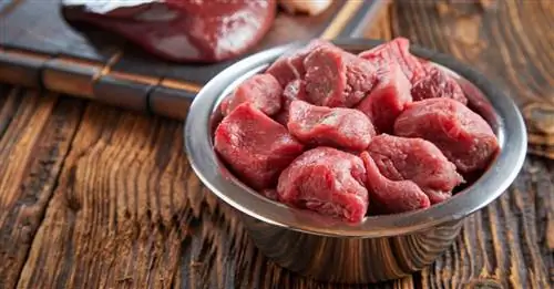 Как кормить собаку с помощью Natural Rearing?