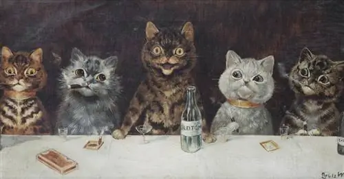 14 изображений кошек, доказывающих, что их присутствие изменило наше представление о мире животных