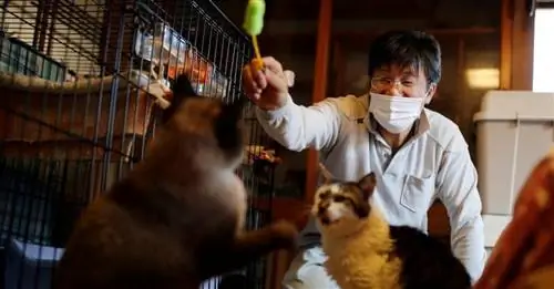 После ядерной катастрофы на Фукусиме этот человек провел свою жизнь, спасая брошенных кошек на полигоне