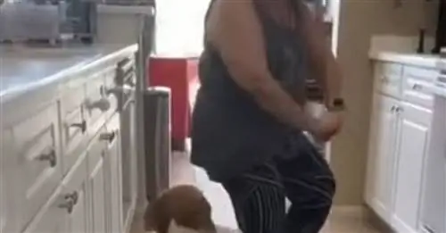 (Видео) Она удивляет свою собаку, танцуя реггетон с мамой