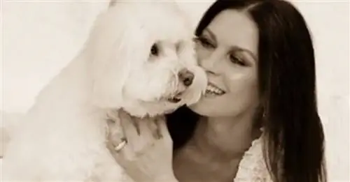 Кэтрин Зета-Джонс оплакивает своего пса и отдает ему трогательную дань