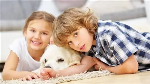 Image Image