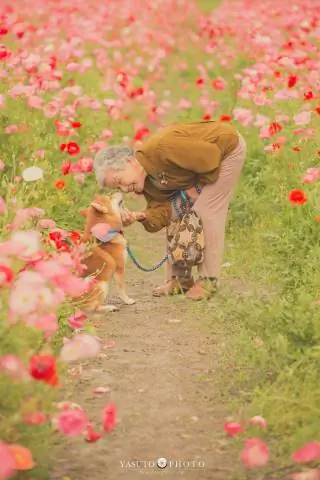 Image Image