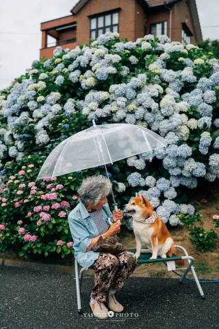 Image Image