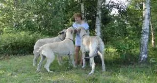 Image Image