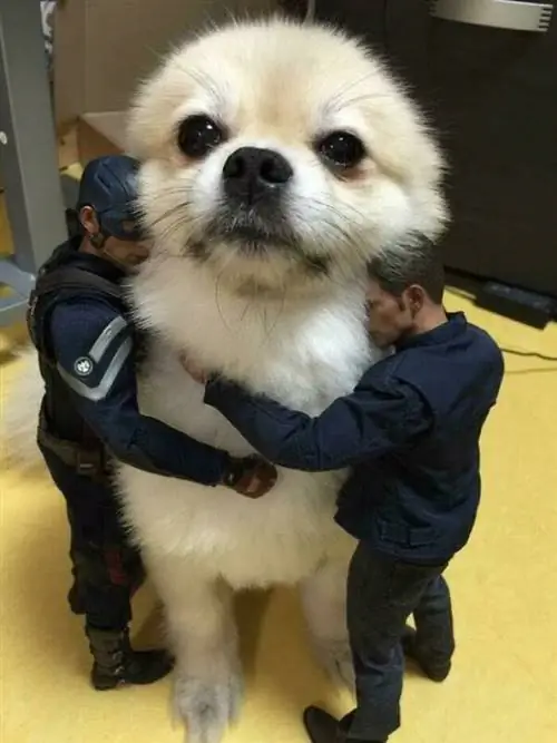 Image Image
