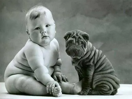 Image Image