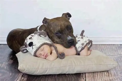 Image Image