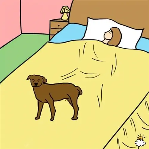 Image Image