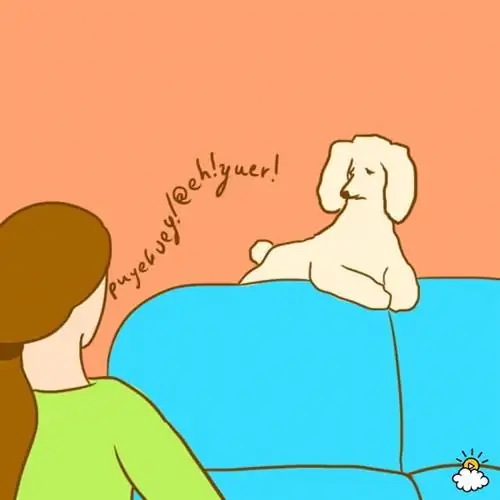 Image Image