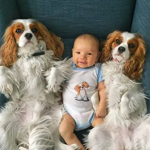 Image Image