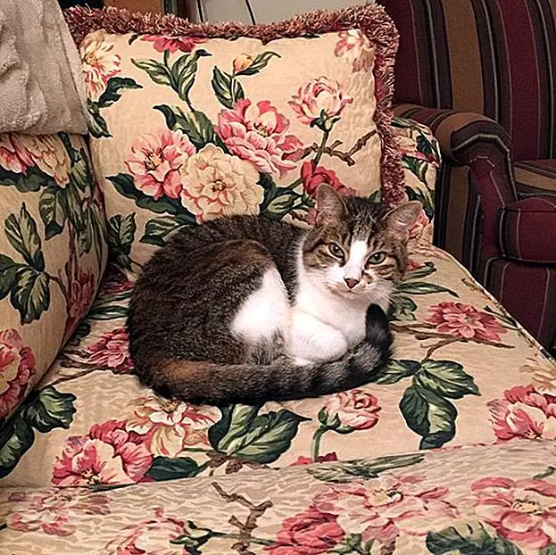 кредит: @molleze