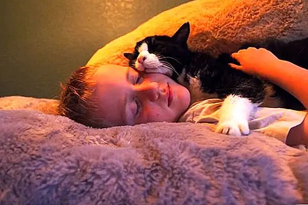 кредит: Джилл Уильямс