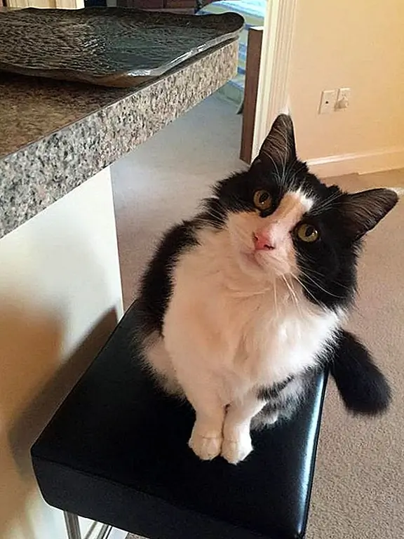 кредит: кошмарная страница «Дива»