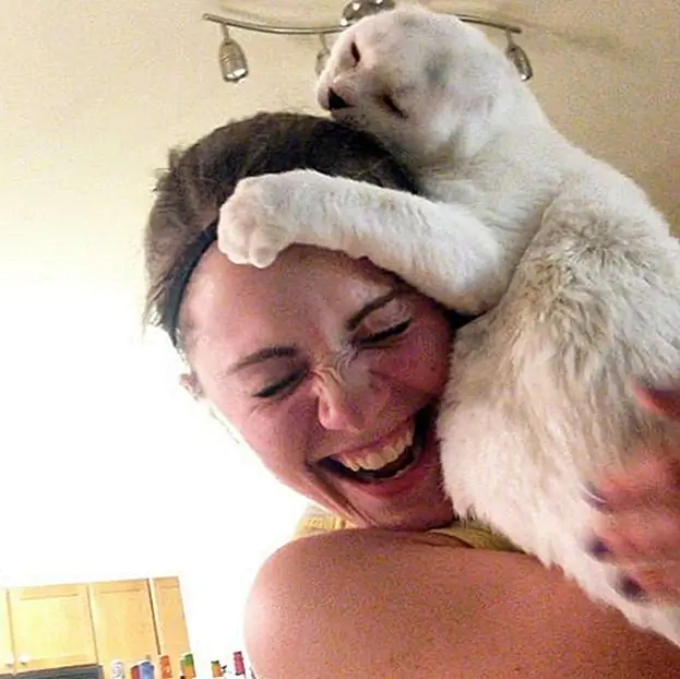 кредит: adventuresofotis