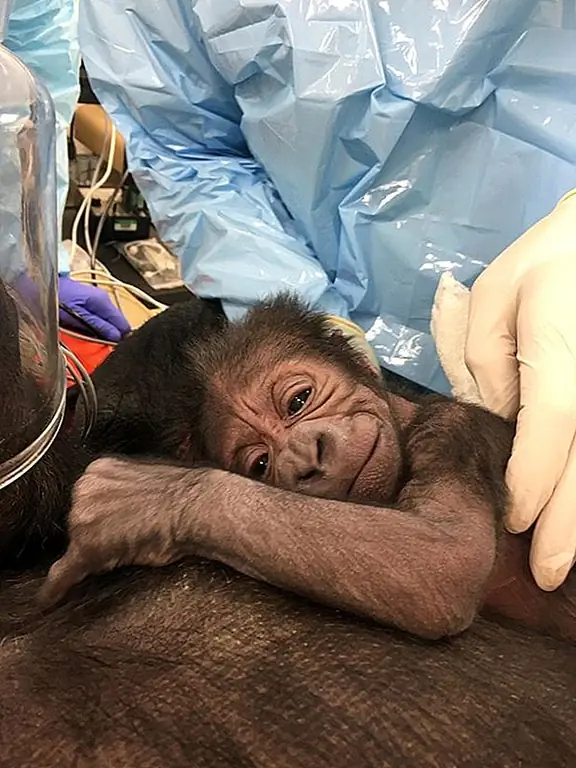 кредит: Филадельфийский зоопарк / Photobucket