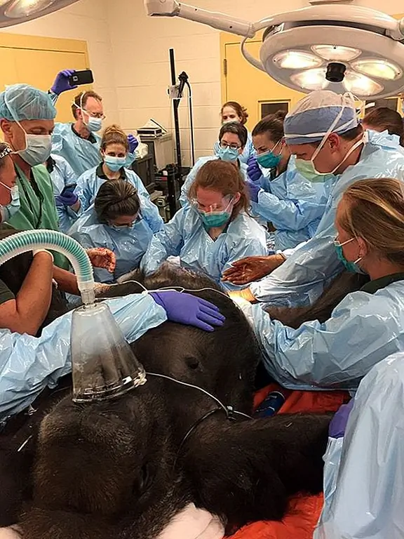 кредит: Филадельфийский зоопарк / Photobucket