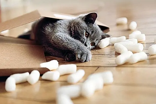 кредит: lisegagne / E + / GettyImages