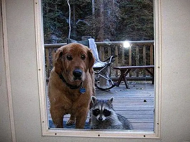 кредит: Imgur кредит: Imgur