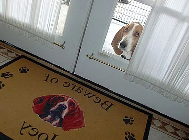 кредит: Imgur кредит: Imgur