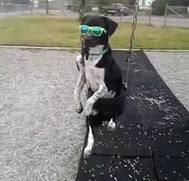 кредит: Гифи