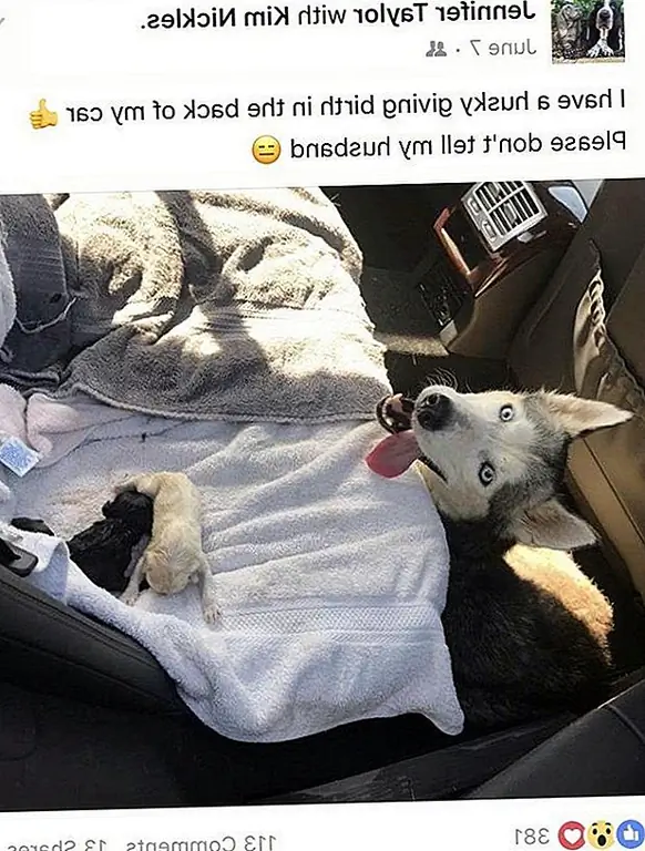 кредит: Дженнифер Тейлор / Facebook