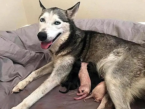 кредит: Facebook