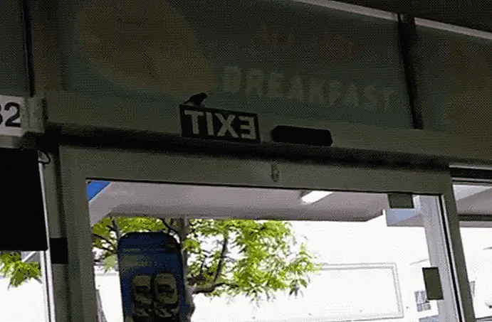 Image Image
