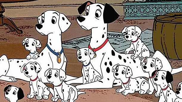 Эта невероятная собака родила 15 щенков на новогоднюю